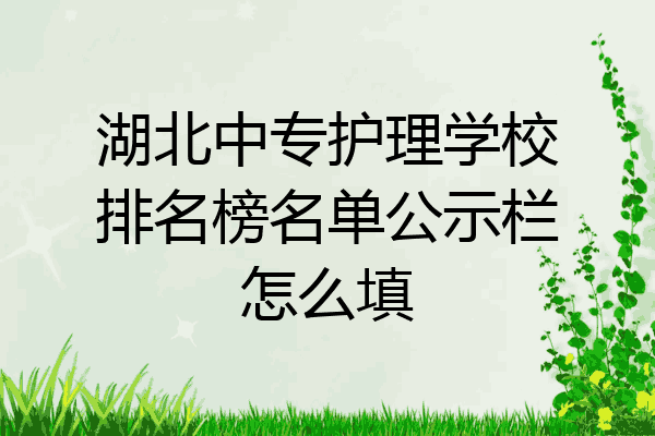 湖北中专护理学校排名榜名单公示栏怎么填