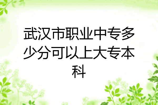 武汉市职业中专多少分可以上大专本科