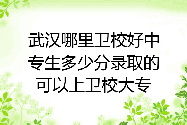 武汉哪里卫校好中专生多少分录取的可以上卫校大专