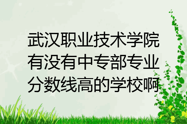 武汉职业技术学院有没有中专部专业分数线高的学校啊