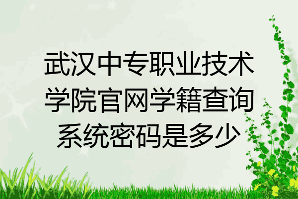 武汉中专职业技术学院官网学籍查询系统密码是多少