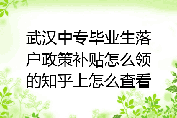 武汉中专毕业生落户政策补贴怎么领的知乎上怎么查看