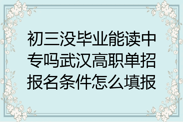 初三没毕业能读中专吗武汉高职单招报名条件怎么填报