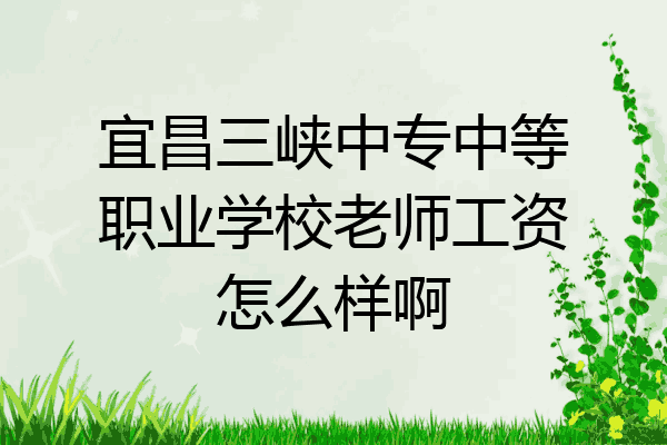 宜昌三峡中专中等职业学校老师工资怎么样啊