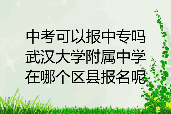 中考可以报中专吗武汉大学附属中学在哪个区县报名呢
