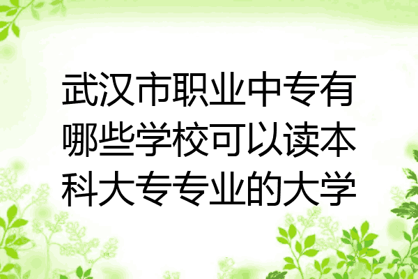武汉市职业中专有哪些学校可以读本科大专专业的大学