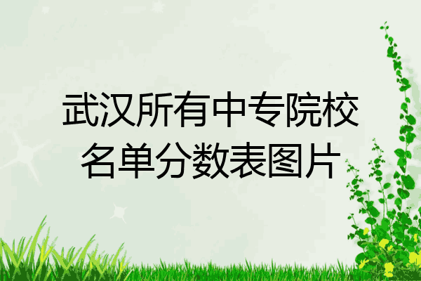 武汉所有中专院校名单分数表图片