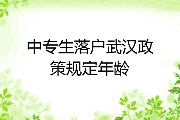 中专生落户武汉政策规定年龄