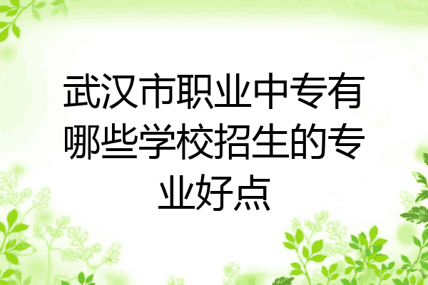 武汉市职业中专有哪些学校招生的专业好点
