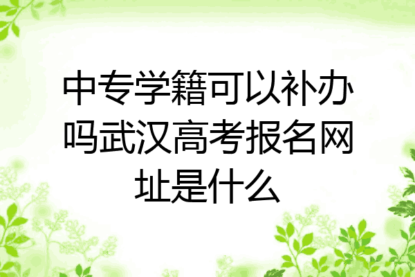 中专学籍可以补办吗武汉高考报名网址是什么