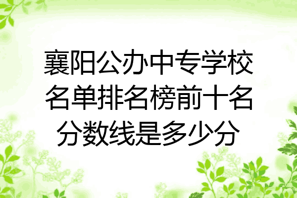 襄阳公办中专学校名单排名榜前十名分数线是多少分
