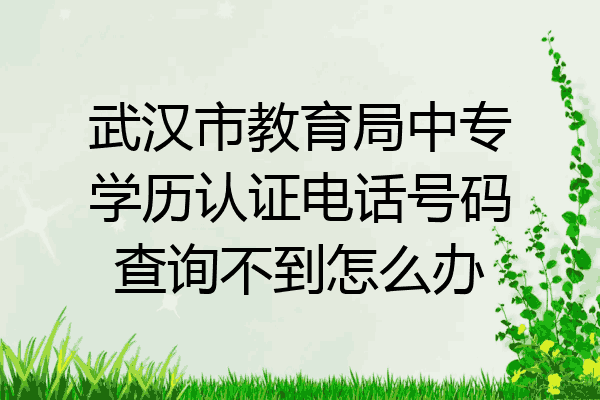 武汉市教育局中专学历认证电话号码查询不到怎么办