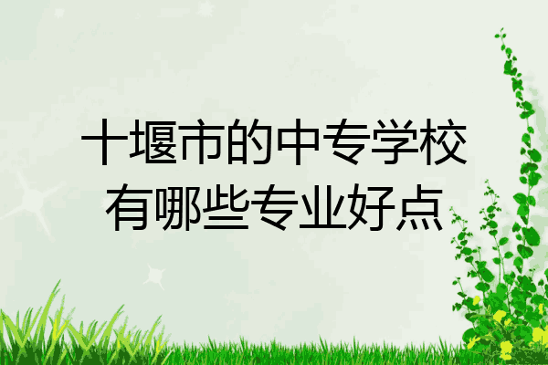 十堰市的中专学校有哪些专业好点