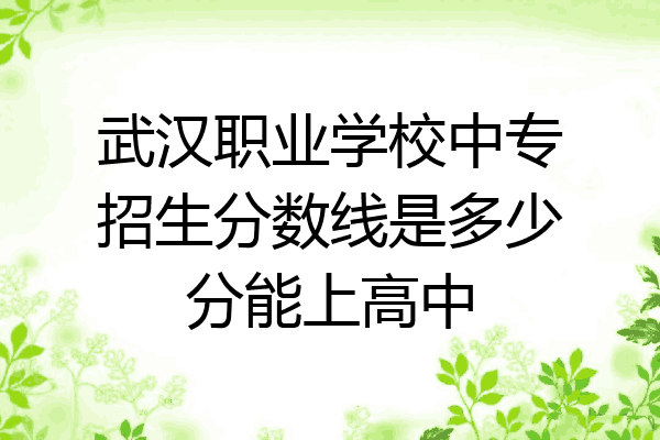 武汉职业学校中专招生分数线是多少分能上高中