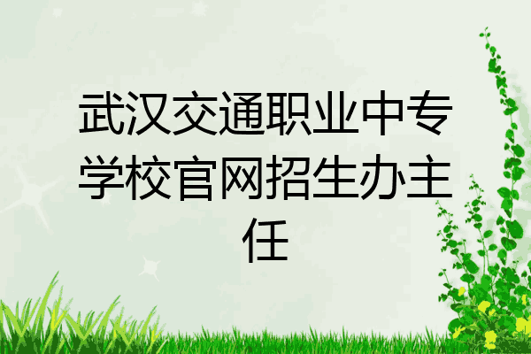 武汉交通职业中专学校官网招生办主任