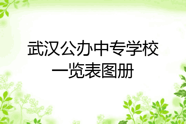 武汉公办中专学校一览表图册