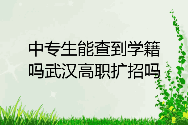 中专生能查到学籍吗武汉高职扩招吗