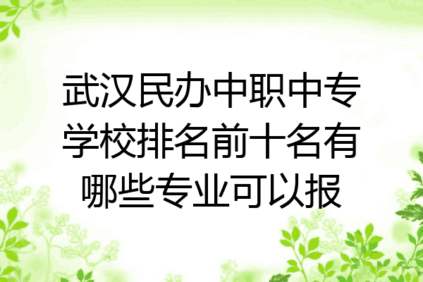 武汉民办中职中专学校排名前十名有哪些专业可以报