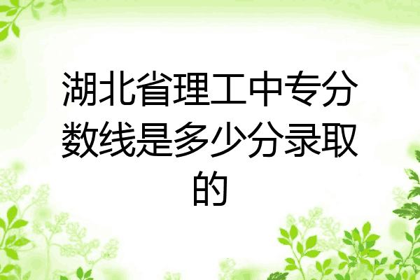 湖北省理工中专分数线是多少分录取的
