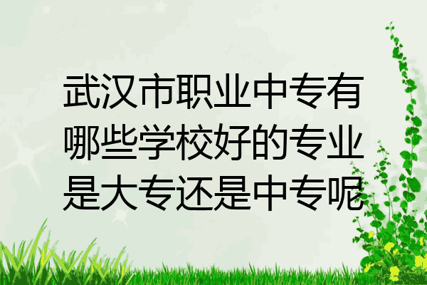 武汉市职业中专有哪些学校好的专业是大专还是中专呢