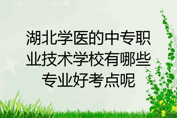 湖北学医的中专职业技术学校有哪些专业好考点呢