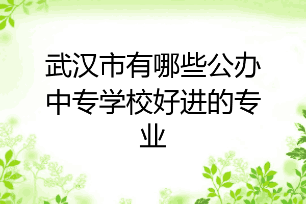 武汉市有哪些公办中专学校好进的专业