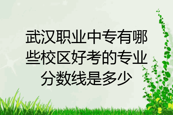 武汉职业中专有哪些校区好考的专业分数线是多少