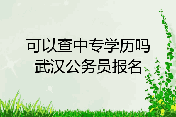 可以查中专学历吗武汉公务员报名