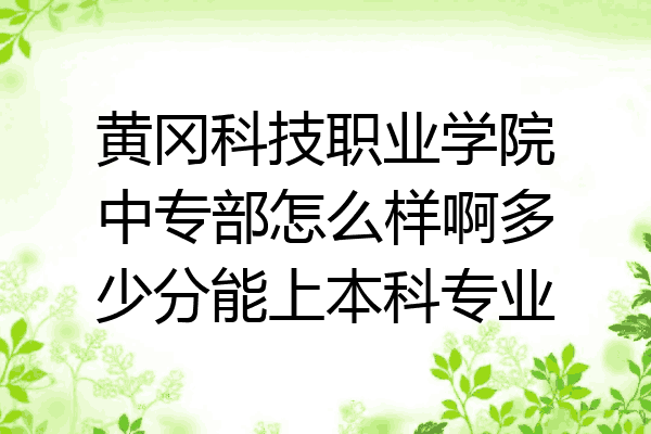 黄冈科技职业学院中专部怎么样啊多少分能上本科专业