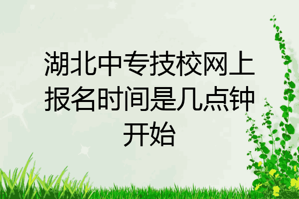 湖北中专技校网上报名时间是几点钟开始