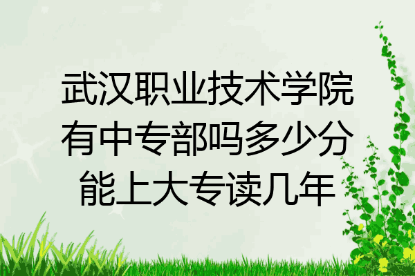 武汉职业技术学院有中专部吗多少分能上大专读几年