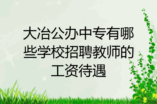 大冶公办中专有哪些学校招聘教师的工资待遇