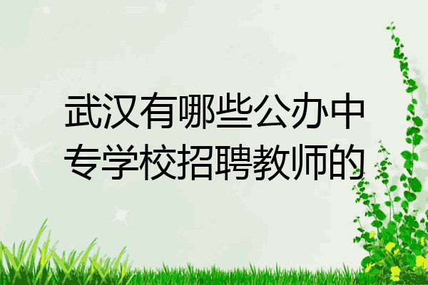 武汉有哪些公办中专学校招聘教师的