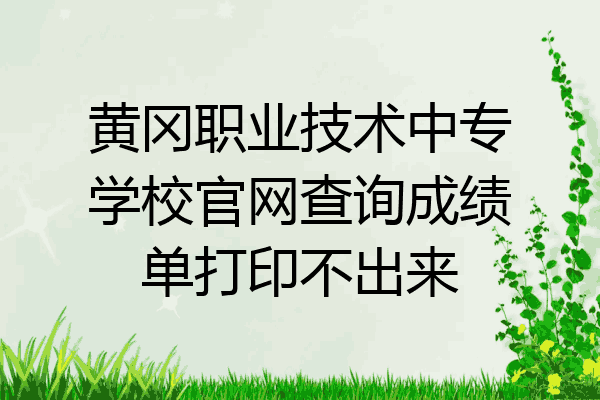 黄冈职业技术中专学校官网查询成绩单打印不出来