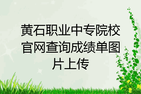 黄石职业中专院校官网查询成绩单图片上传