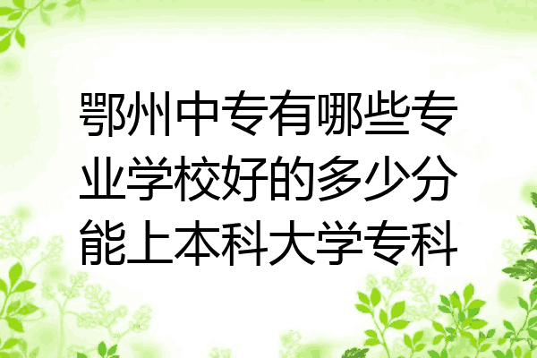 鄂州中专有哪些专业学校好的多少分能上本科大学专科