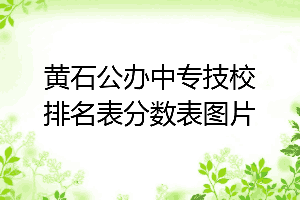 黄石公办中专技校排名表分数表图片