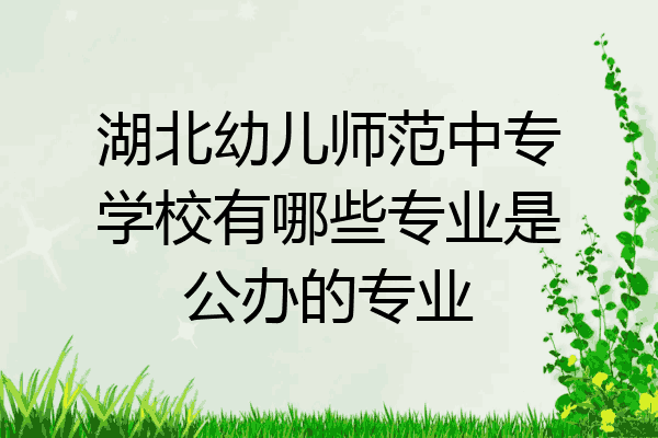 湖北幼儿师范中专学校有哪些专业是公办的专业