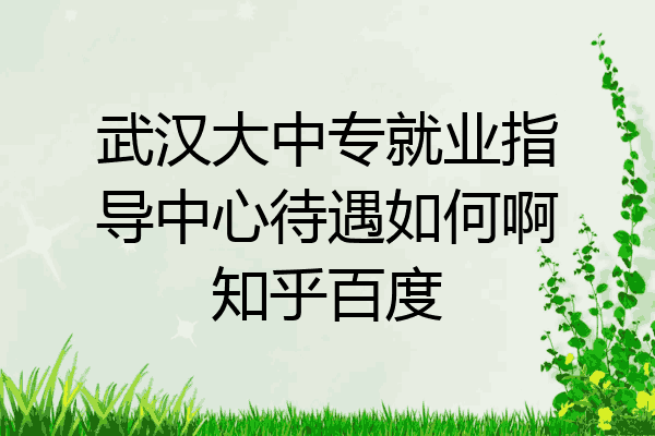 武汉大中专就业指导中心待遇如何啊知乎百度
