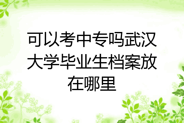 可以考中专吗武汉大学毕业生档案放在哪里