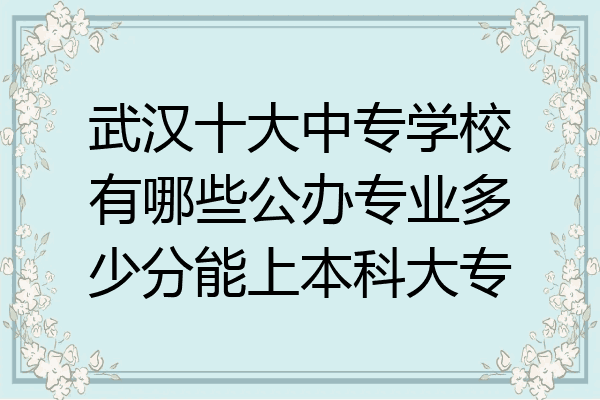 武汉十大中专学校有哪些公办专业多少分能上本科大专