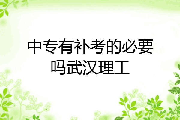 中专有补考的必要吗武汉理工