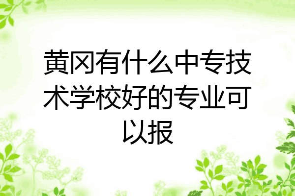 黄冈有什么中专技术学校好的专业可以报
