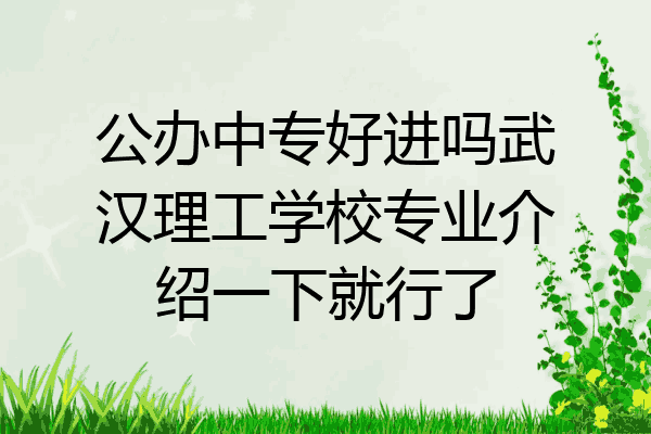 公办中专好进吗武汉理工学校专业介绍一下就行了