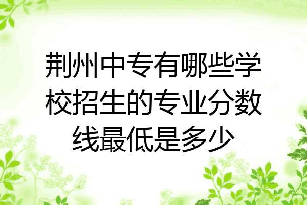 荆州中专有哪些学校招生的专业分数线最低是多少