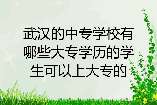 武汉的中专学校有哪些大专学历的学生可以上大专的