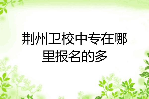 荆州卫校中专在哪里报名的多