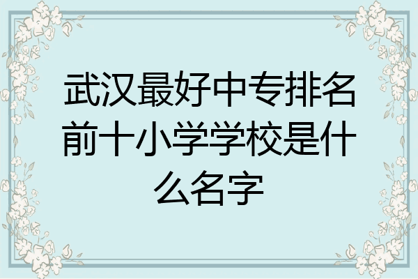 武汉最好中专排名前十小学学校是什么名字