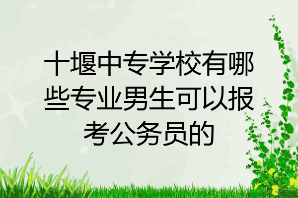 十堰中专学校有哪些专业男生可以报考公务员的