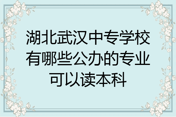 湖北武汉中专学校有哪些公办的专业可以读本科